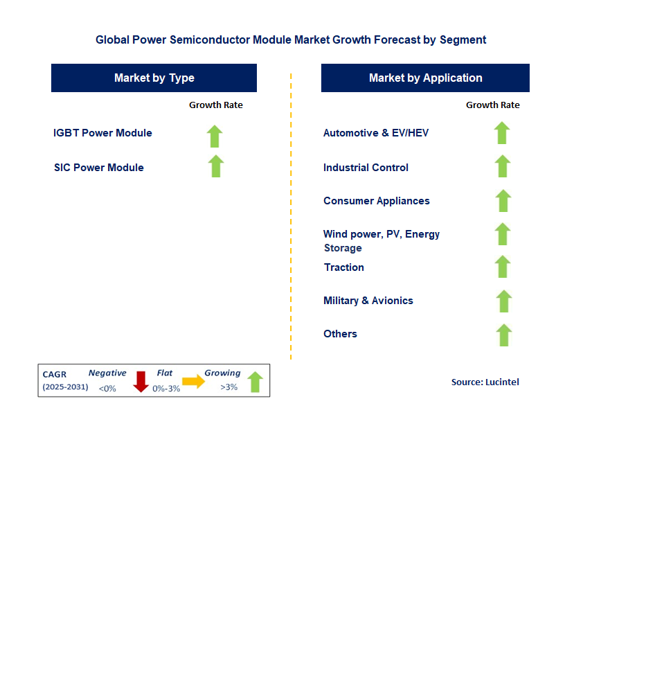 Power Semiconductor Module Market by Segment